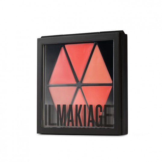 COLOR MASTER LIP PALETTE