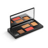 High Point Face Shaping Palette